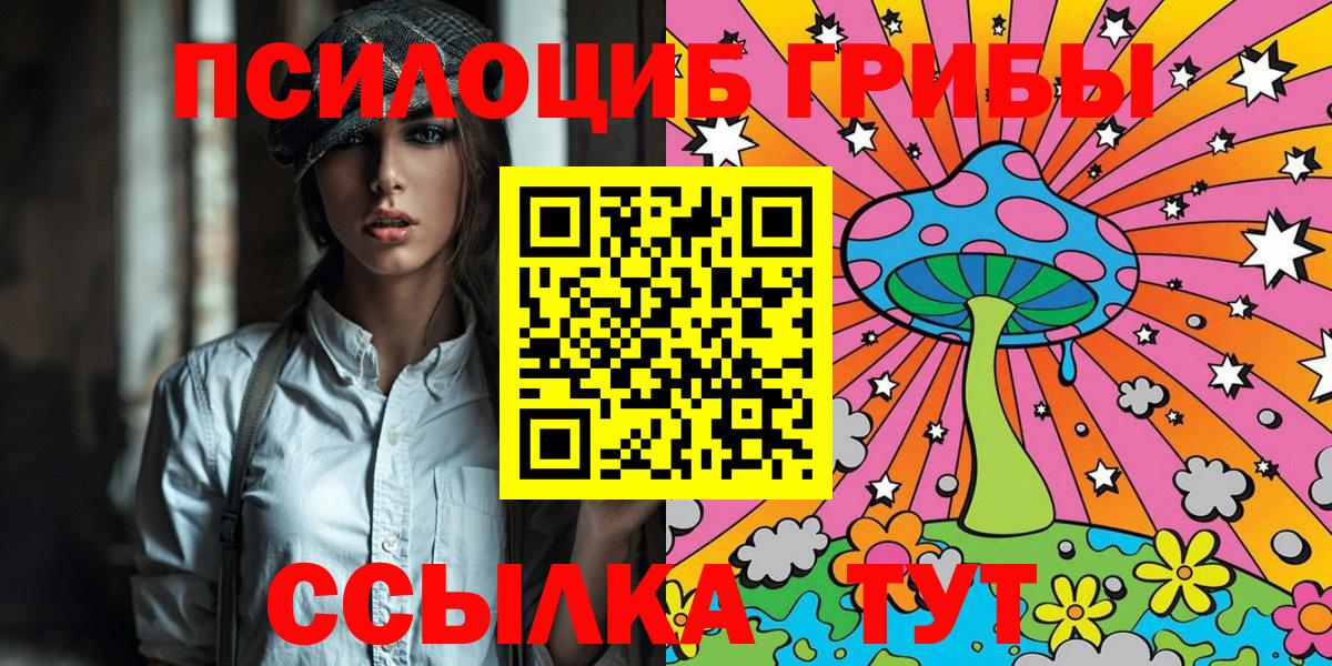 Галлюциногенные грибы Psilocybine cubensis Ковров