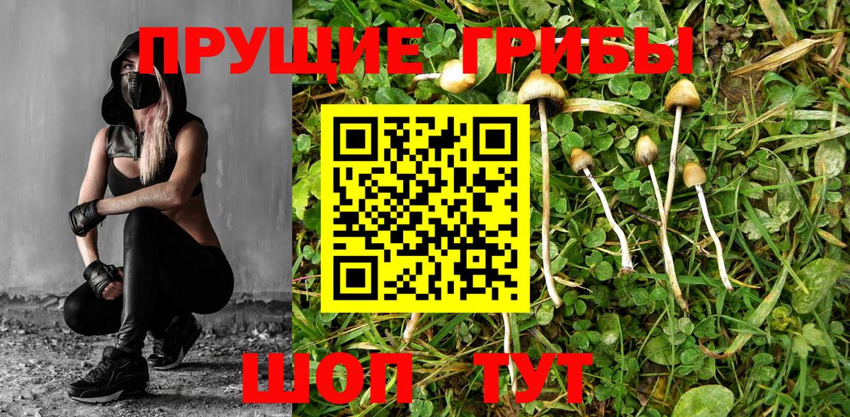 Псилоцибиновые грибы прущие грибы  Галлюциногенные грибы MAGIC MUSHROOMS  Ковров  Вход с VPN 